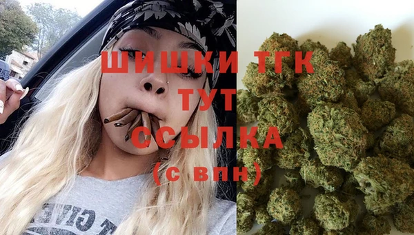 мдпв Богданович
